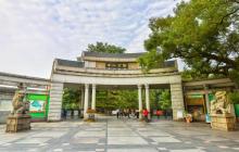 佛山中山公园2