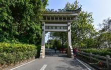 九龙泉3