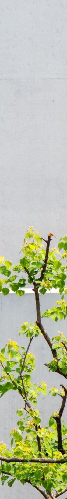 春阳台4