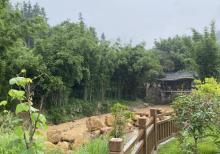 莲麻小镇6