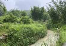 莲麻小镇7