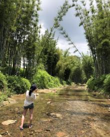 莲麻小镇18