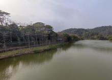 滨海公园2