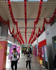 广东省立中山图书馆21