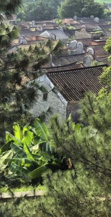 三水长岐古村6