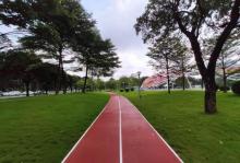 二沙岛体育公园15