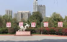 二沙岛体育公园12