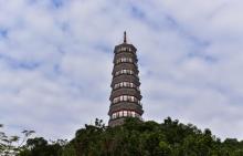 琶洲塔5