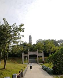 琶洲塔7