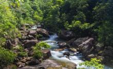 白江湖森林公园6