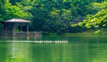 白江湖森林公园3