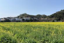 红山村12