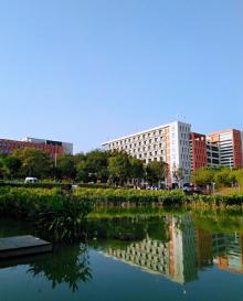 大观湿地公园8