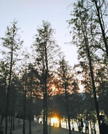 大观湿地公园9