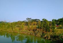 大观湿地公园10