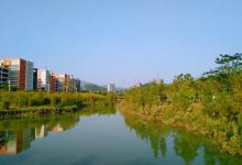 大观湿地公园7