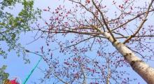 番禺广场18