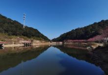 五指山12
