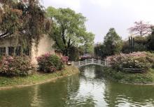 石头记矿物园15