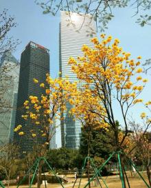 广州东塔7