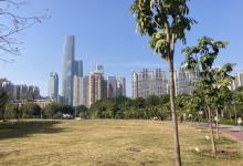 广州东塔11
