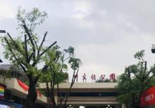 广州文化公园4