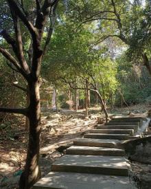 火炉山森林公园6