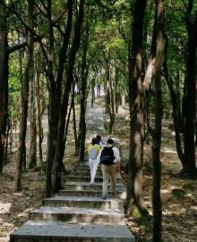 火炉山森林公园15