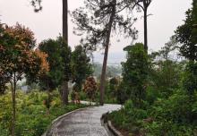 火炉山森林公园12