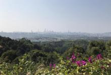 火炉山森林公园18