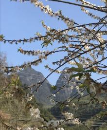 溪头旅游村11