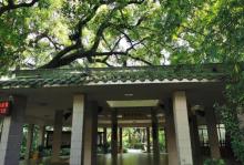 兰圃22