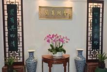 兰圃9