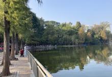 天河公园17