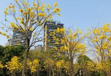 顺峰山公园28