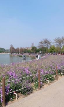 顺峰山公园21