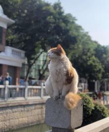 广州荔枝湾游船15