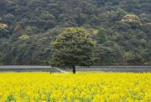 石门国家森林公园13