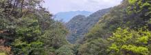 石门国家森林公园12