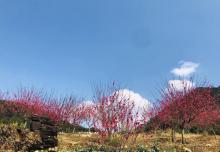 石门国家森林公园23