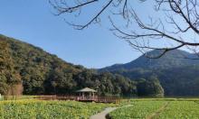 石门国家森林公园28