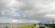 海鸥岛9