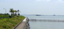 海鸥岛26