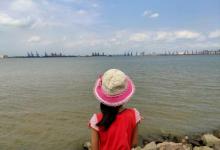 海鸥岛13