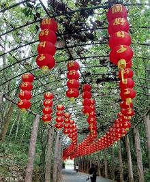 京明温泉度假村25