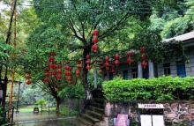 凌霄岩20