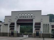 板嶂岭森林公园4