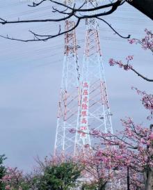 横琴花海长廊3