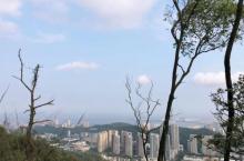 板樟山森林公园24