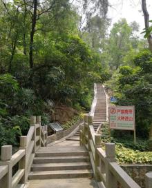 板樟山森林公园8
